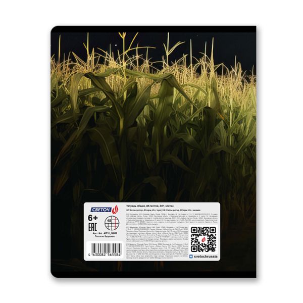 Тетрадь ученическая общая, глянцевая ламинация, A5+ 48 л. на скобе 65 г/м², белизна 100 %, 10 шт, клетка, 00988 Гости из будущего, Светоч 48Т11