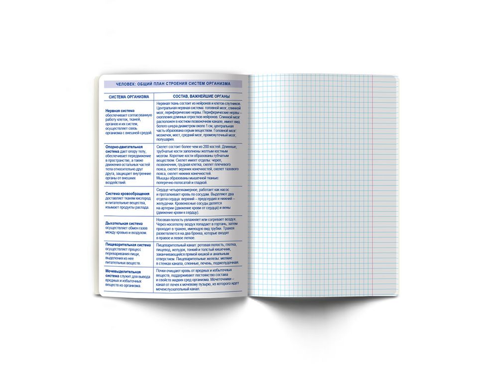 Тетрадь со справочным материалом Линия успеха, софт тач ламинация + тиснение фольгой, A5+ 48 л. на скобе 65 г/м², белизна 100%, 10 шт, клетка, 000572 Биология, Светоч 48ТПСК5_126_2_1