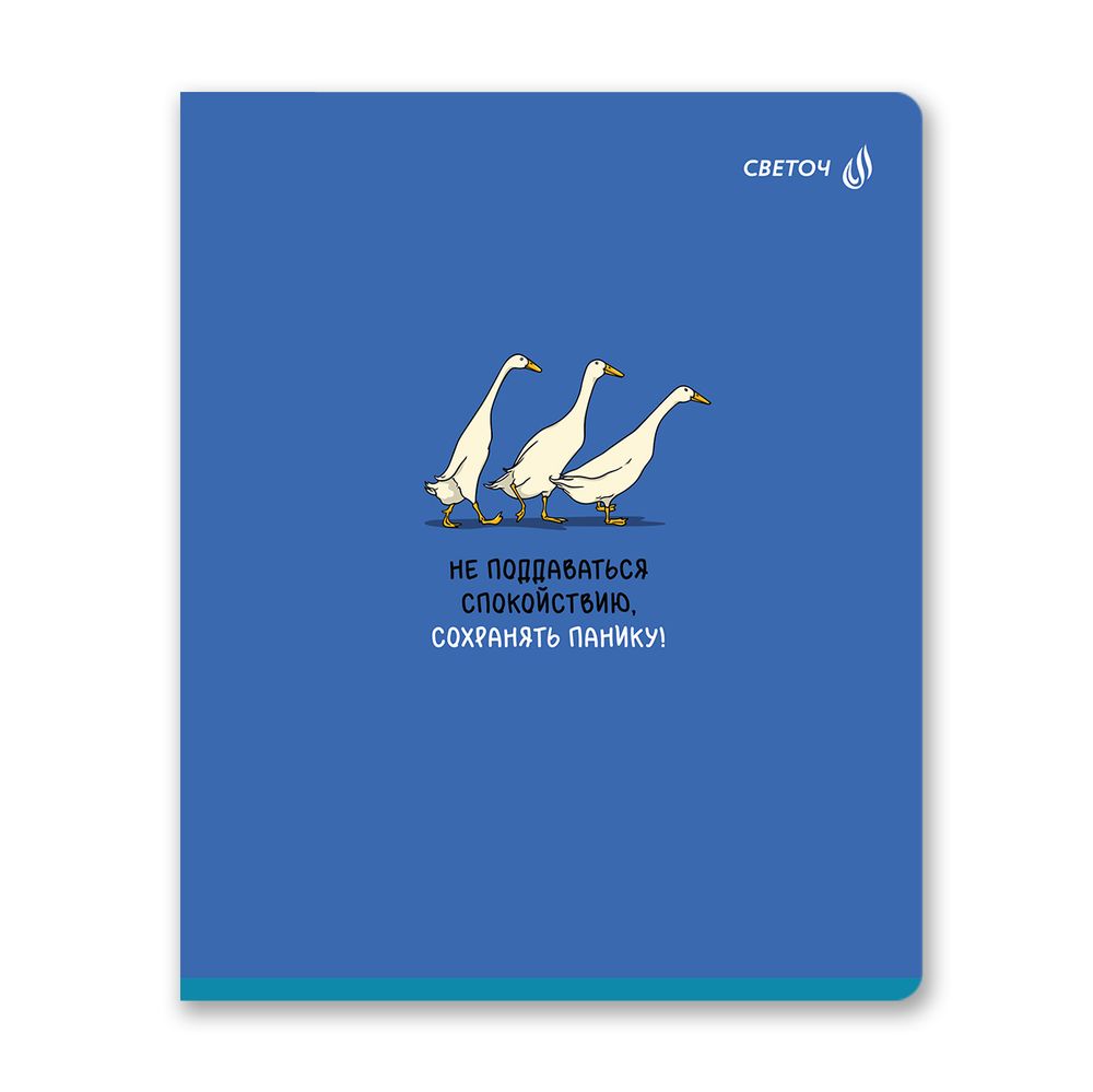 Тетрадь ученическая общая, A5 40 л. на скобе 65 г/м², белизна 100% 10 шт клетка, 01475 Сохраняем панику, Светоч Т194
