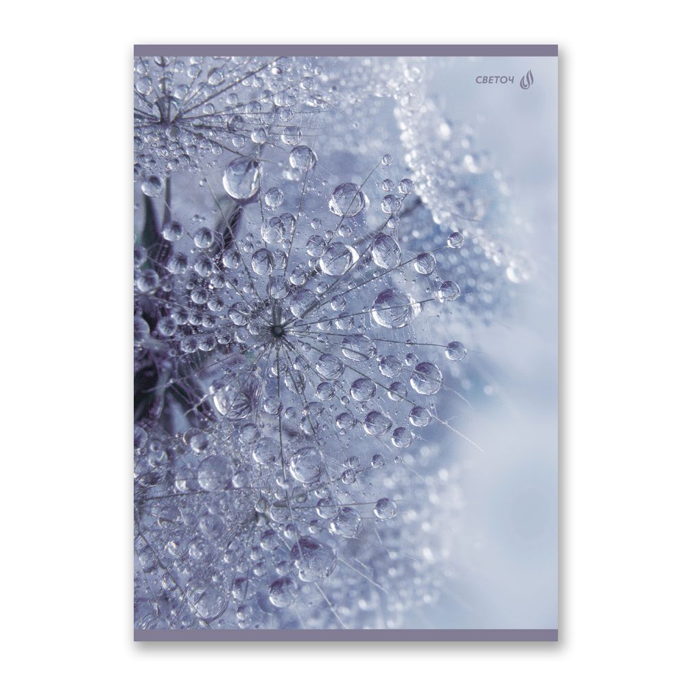 Тетрадь ученическая общая, A4 96 л. на скобе 65 г/м², белизна 100 %, 6 шт, клетка, 01351 Утренняя роса, Светоч Т156