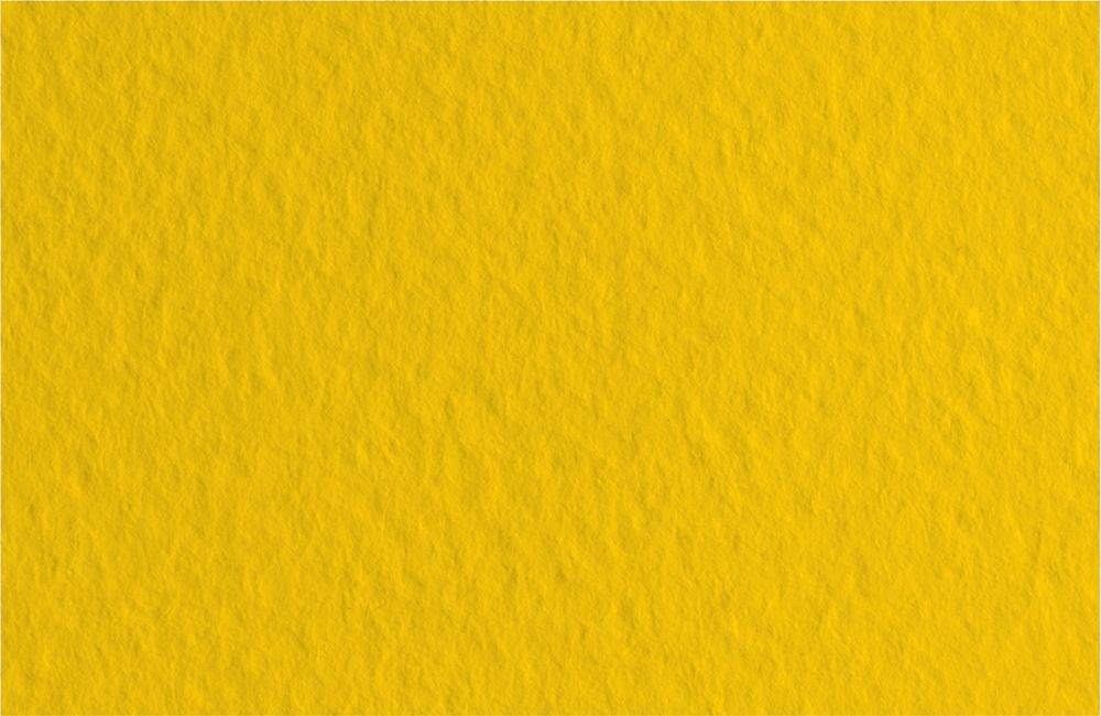 Бумага для пастели 160 г/м², 50х65 см, 10 листов, Oro/золото, Fabriano