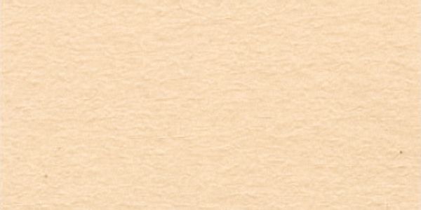 Бумага цветная 120 г/м², А4, 50 шт, 10 т.бежевый (chamois), Vista-Artista TPO-A4