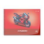 Альбом для рисования с пластик. обложкой 180 мкм, цветной титул лист 100 г/м², A4 29х20.5 см, 40 л. на гребне 5 шт, 01543 Дорога к победе, Светоч А207