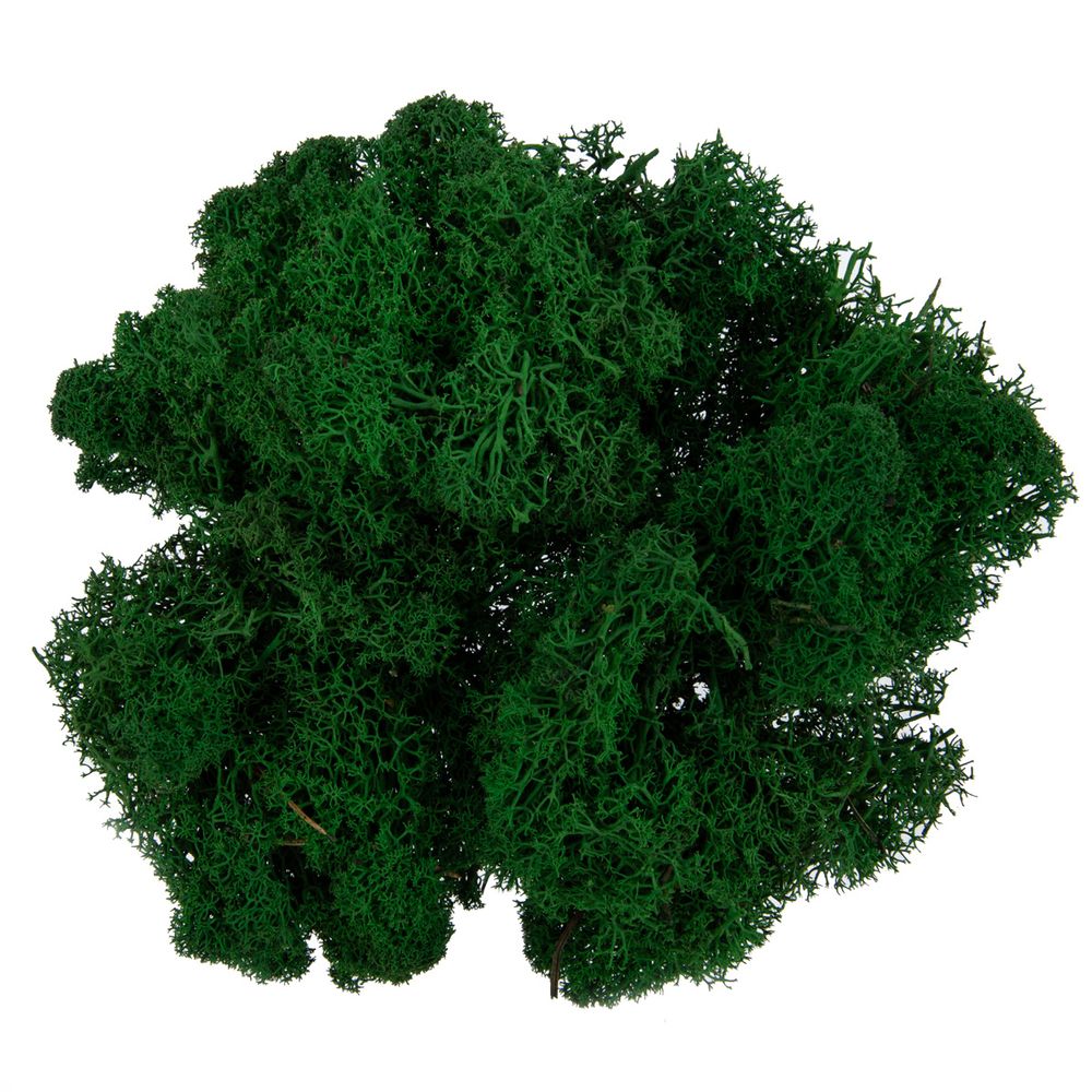 Мох стабилизированный окрашенный 50±5 г, №05 т. зеленый, Blumentag