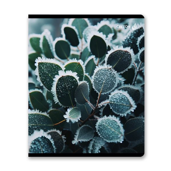 Тетрадь ученическая общая, глянцевая ламинация A5 48 л. на скобе 65 г/м², белизна 100% 10 шт клетка, 01503 Морозная свежесть, Светоч Т71