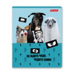 Тетрадь ученическая общая, A5+ 48 л. на скобе 65 г/м², белизна 100%, 10 шт, клетка в термоусадочной пленке, 000727 Чудите с нами!, Светоч 48ТЕТк-001