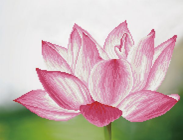 Алмазная (кристальная) мозаика Фрея ALV-3 06, Лотос, 39.5х52 см