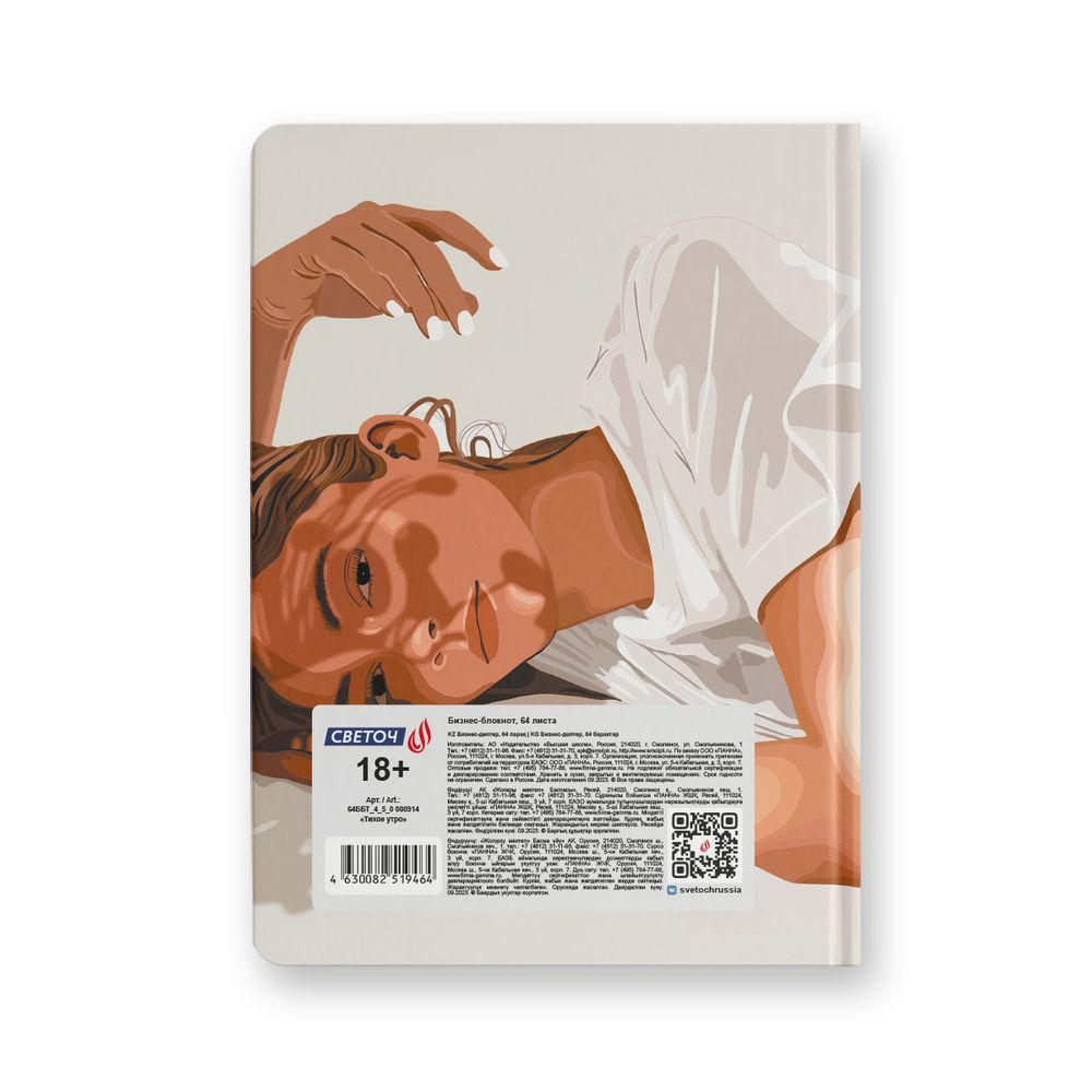 Бизнес-блокнот, глянцевая ламинация, тониров. блок, евроформат 64 л. 24 шт, французская клетка, Тихое утро 000914, Светоч 64ББТ_4_5_0