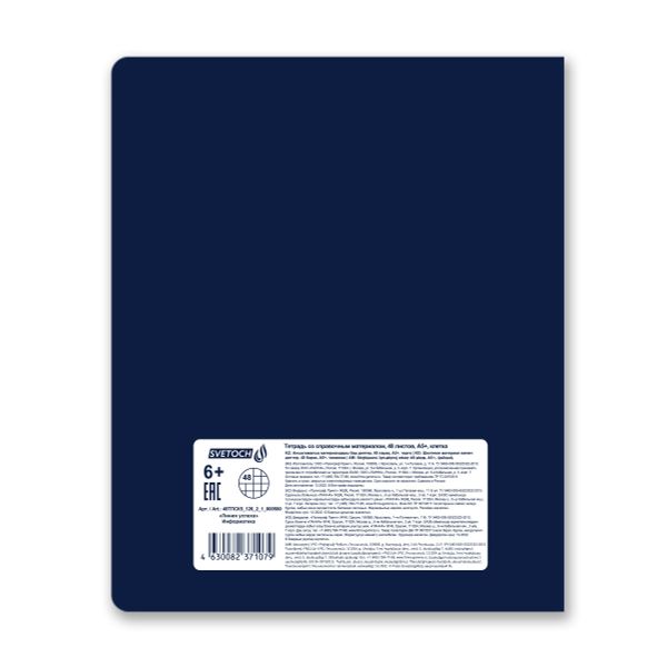 Тетрадь со справочным материалом Линия успеха, софт тач ламинация + тиснение фольгой, A5+ 48 л. на скобе 65 г/м², белизна 100%, 10 шт, клетка, 000580 Информатика, Светоч 48ТПСК5_126_2_1