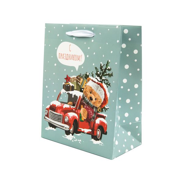 Пакет подарочный 210 г/м², 18х23х10 см, 12 шт, 01, Stilerra NYYS