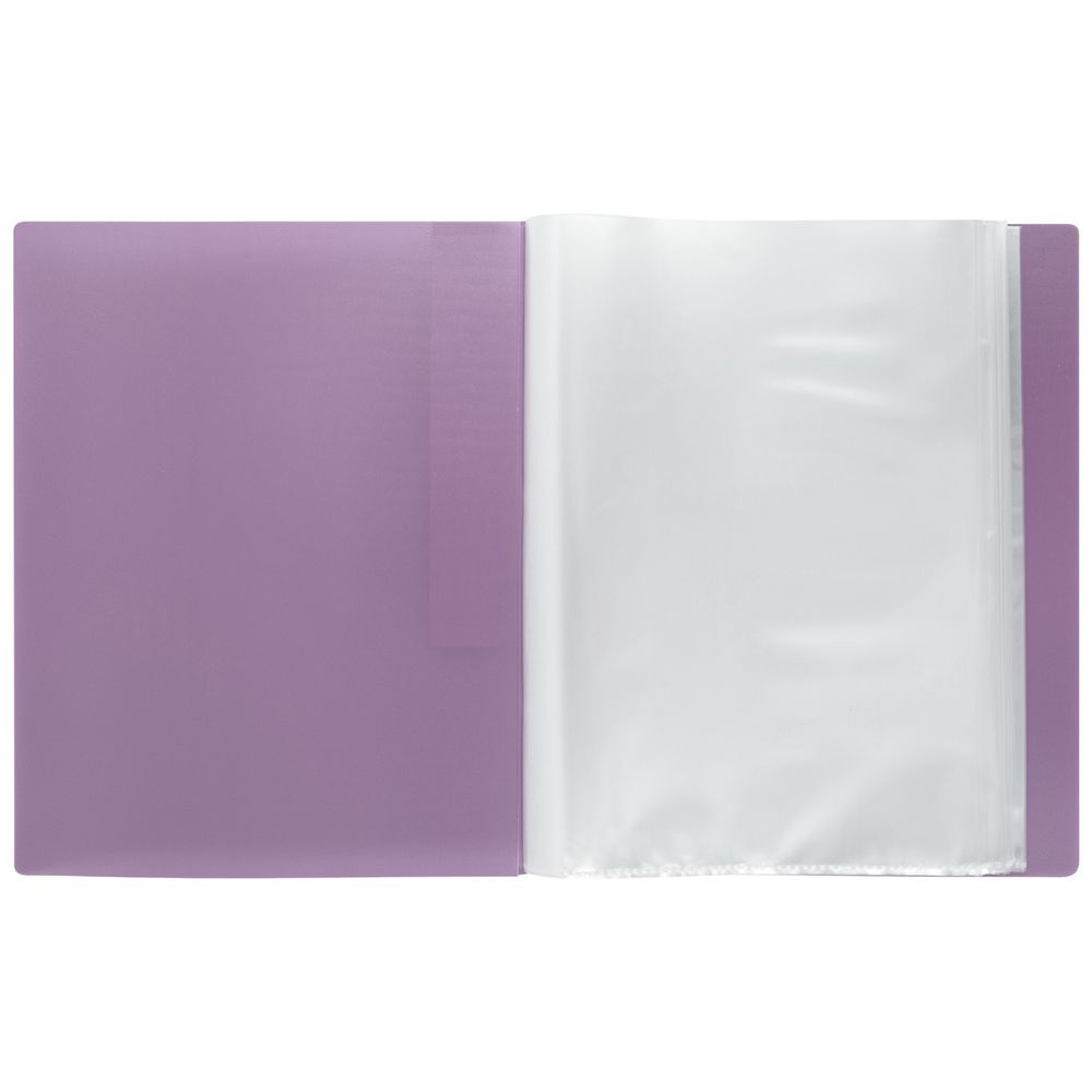 Папка с вкладышами 40 л. A4 600 мкм 20 мм, 1 шт, ежевика EC211720072, Expert Complete