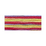 Мулине Anchor мультиколор, цв.1360, 12 мотков по 8 метров