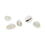 Ракушки декоративные 20х10 мм, 100 г (5х20 г), №01 натуральный, Zlatka D20-31