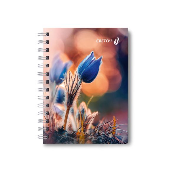 Записная книжка с твердым переплетом, глянцевая ламинация, на гребне A6 80 л. 4 шт клетка, Встреча на рассвете 01587, ЗК221 Светоч