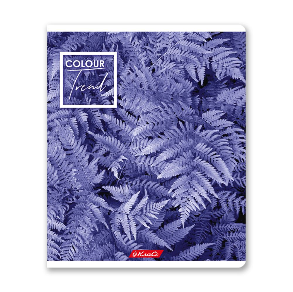 Тетрадь ученическая общая A5+ 48 л. на скобе, белизна 100%, 10 шт, клетка, 000308 Черничный рай, Светоч 48ТСК5_1_3_1