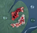 Набор для вышивания нитками Panna, Живая картина Броши. Карпы кои, 3.7x7.5 см