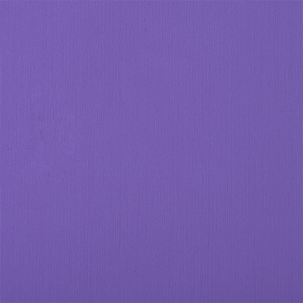 Бифлекс матовый 200 г/м², 150 см / 6 метров, TBY-B-5003.6, цв.5003 лиловый
