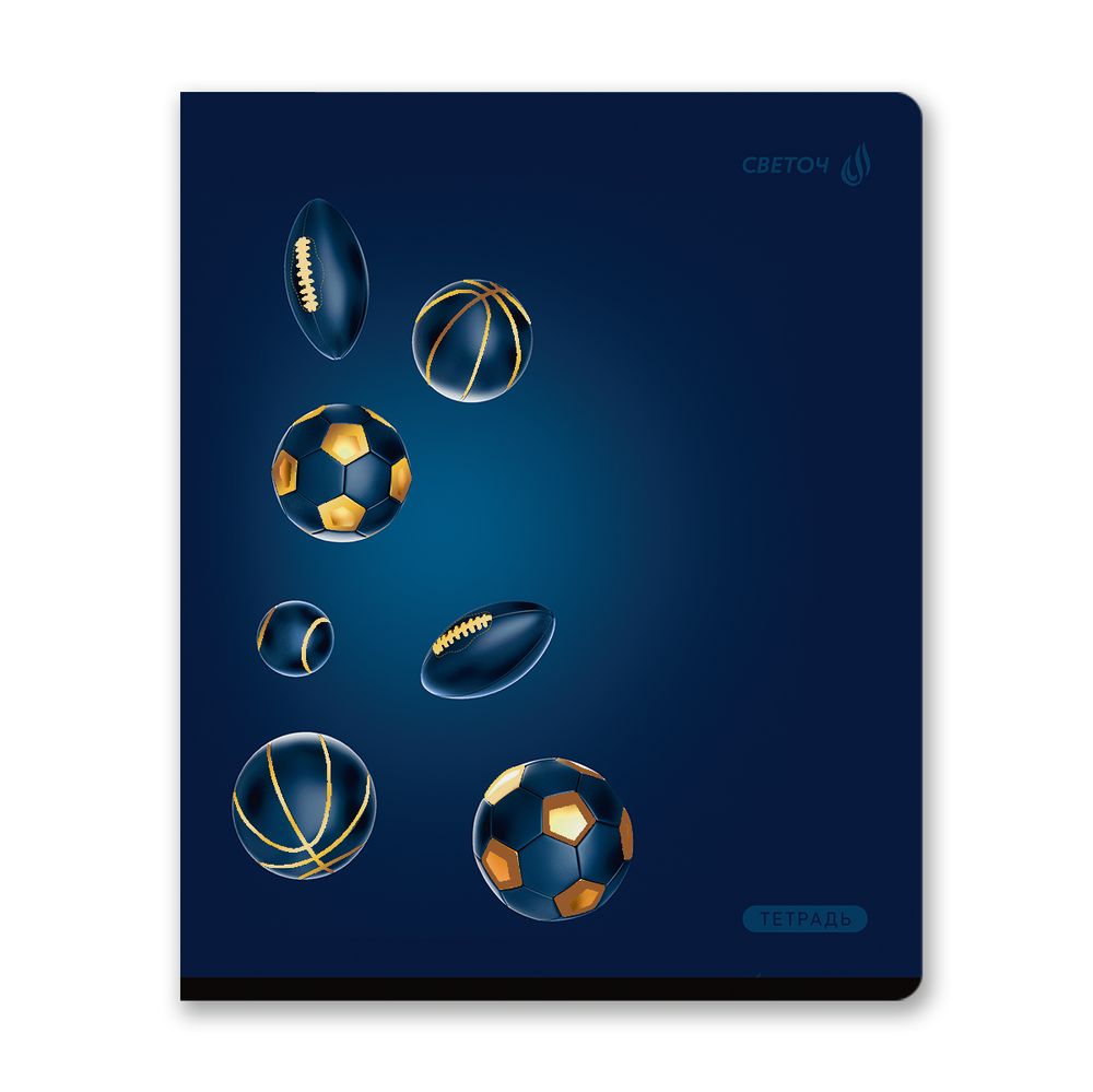 Тетрадь ученическая общая, тиснение золотой фольгой, A5 48 л. на скобе 65 г/м², белизна 100% 10 шт клетка, 01516 Радость победы, Светоч Т199