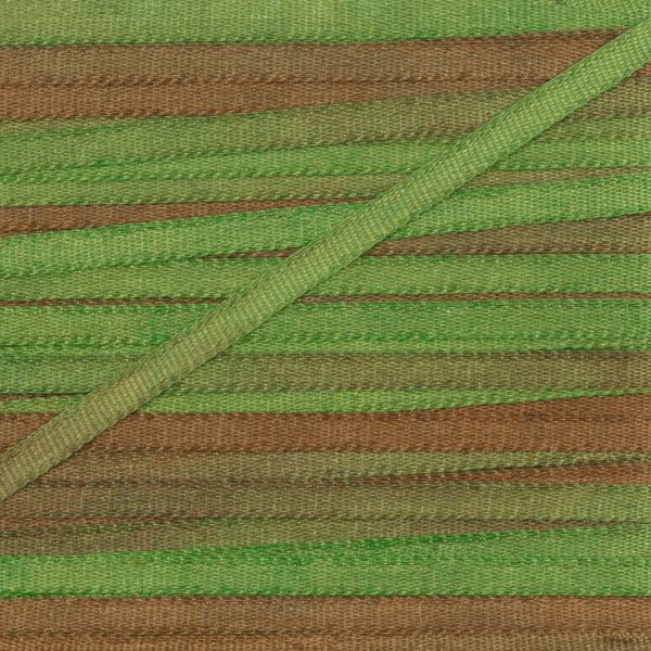 Лента (тесьма) шелковая 2.0 мм / 9.1±0.5 метров, M133 св.зеленый/коричневый, Gamma SRM-2