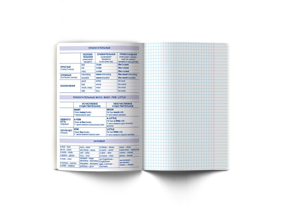 Тетрадь со справочным материалом Яркие краски, матовая ламинация +выбор. лак, A5+ 48 л. на скобе 65 г/м², белизна 100%, 10 шт, клетка, 00864 Английский язык, Светоч 48Т9