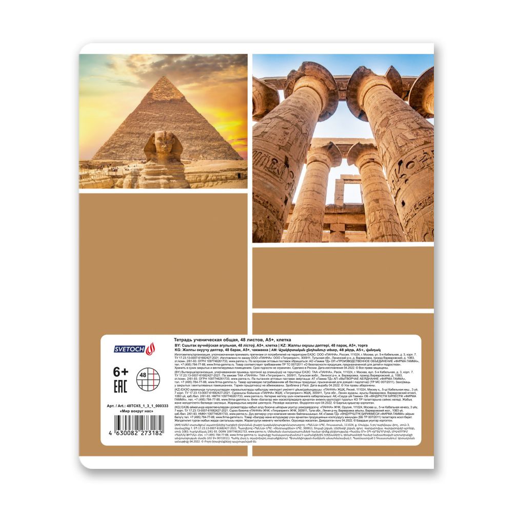 Тетрадь ученическая общая A5+ 48 л. на скобе, белизна 100%, 10 шт, клетка, 000333 Мир вокруг нас, Светоч 48ТСК5_1_3_1