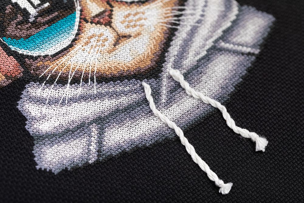 Набор для вышивания нитками Panna, Меломан Стенли, 22.5х18 см