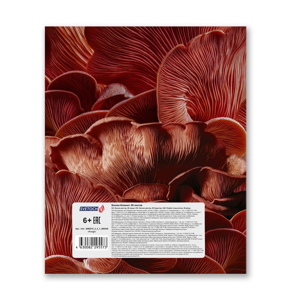 Бизнес-блокнот, матовая ламинация, A5+ 80 л. 18 шт, клетка, Fungi 000439, Светоч 80ББТ5_2_5_1