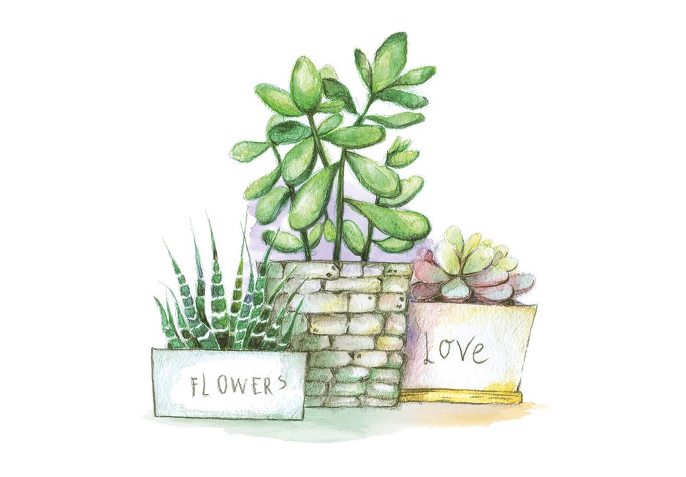 Скетч для раскрашивания акварельными карандашами Фрея RPSA-0042, Суккуленты в горшках 29.5х20.5 см