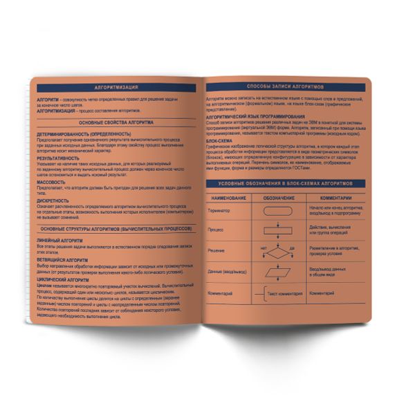 Тетрадь со справочным материалом Лёгким почерком, софт-тач ламинация, A5 48 л. на скобе 65 г/м², белизна 100% 10 шт, клетка, 01843 Лёгким почерком Информатика, Светоч Т284