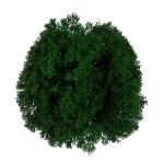 Мох королевский ягель стабилизированный окрашенный 45±5 г, №02 т. зеленый, Blumentag