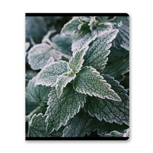 Тетрадь ученическая общая, глянцевая ламинация A5 48 л. на скобе 65 г/м², белизна 100% 10 шт клетка, 01503 Морозная свежесть, Светоч Т71