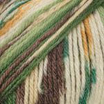 Пряжа Alize (Ализе) Wooltime / уп.5 мот. по 100 г, 200 м, 11021 секционный