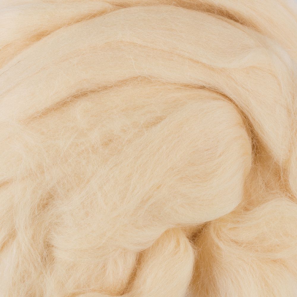 Шерсть для валяния (до 23 мкр), 50 г. 1082 шампанское, Gamma FY-050