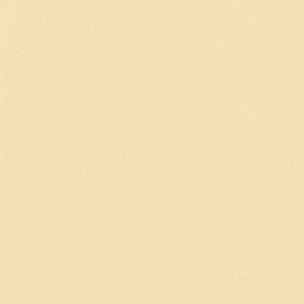 Бумага цветная 120 г/м², A4 21х29.7 см, 50 шт, 23 кремовый/cream, Vista-Artista