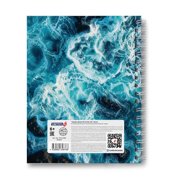 Тетрадь общая с твердой обложкой, глянцевая ламинация A5 80 л. на гребне 65 г/м², белизна 100% 4 шт клетка, 01560 Шторм, Светоч Т215