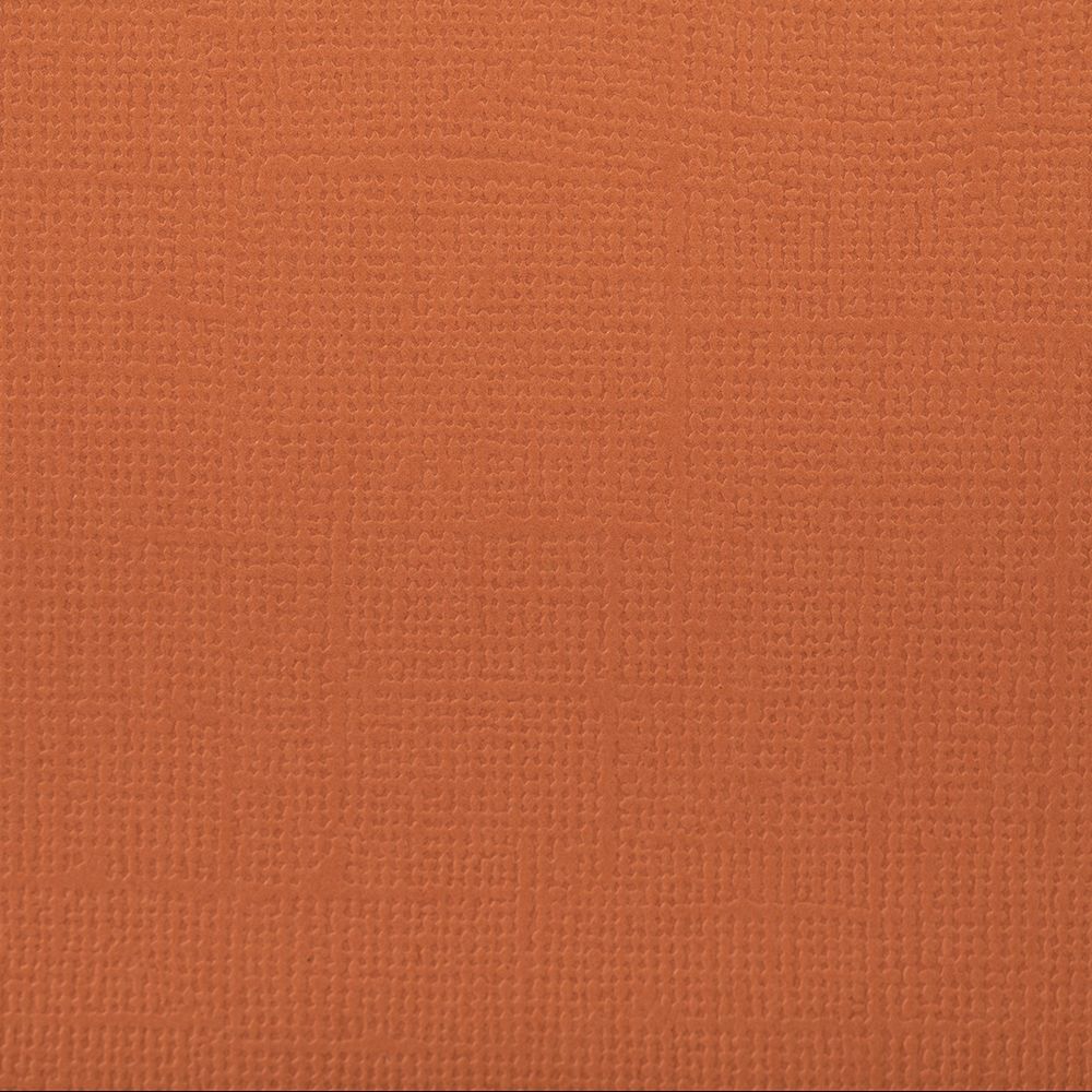 Бумага для скрапбукинга 216 г/м², 30.5х30.5 см, 10 шт, 54 Корица (рыже-коричневый), Mr.Painter PST