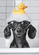 Пазл 500 элементов, PZL-500/81 Купание черной таксы, Фрея