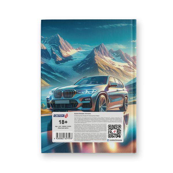 Бизнес-блокнот, глянц. ламинация, блок кремовый, ББ247 евроформат (14.4х20.3х1.6 см) 64 л. 4 шт французская клетка, Быстрее всех 01674, Светоч