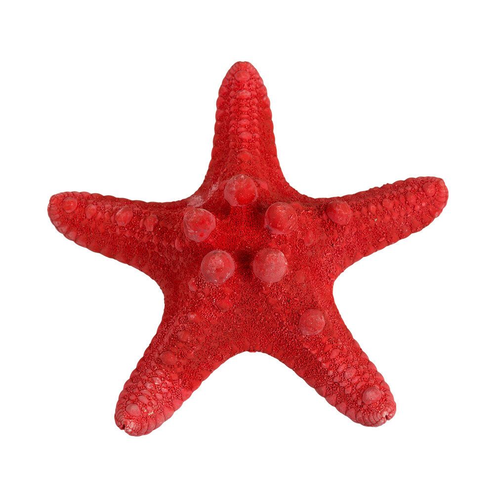 Морская звезда декоративная 5 шт, №03 красный, Blumentag MZF-001