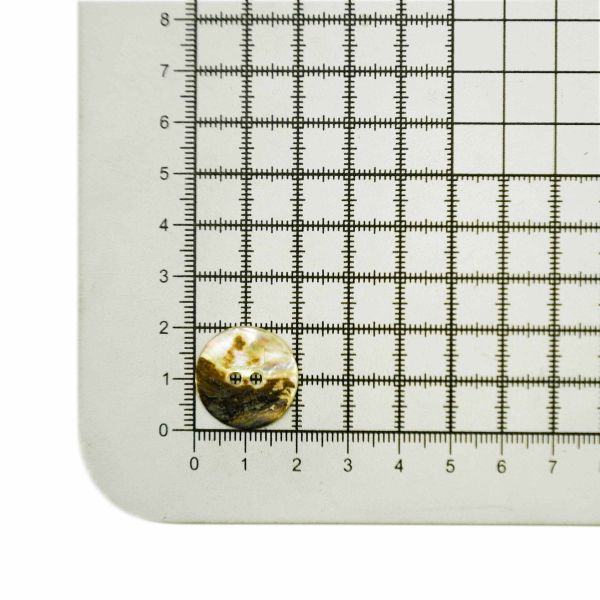 Пуговицы 2 прокола Ракушка 32L, 20 мм, (agoya), CN-S002, 144 шт