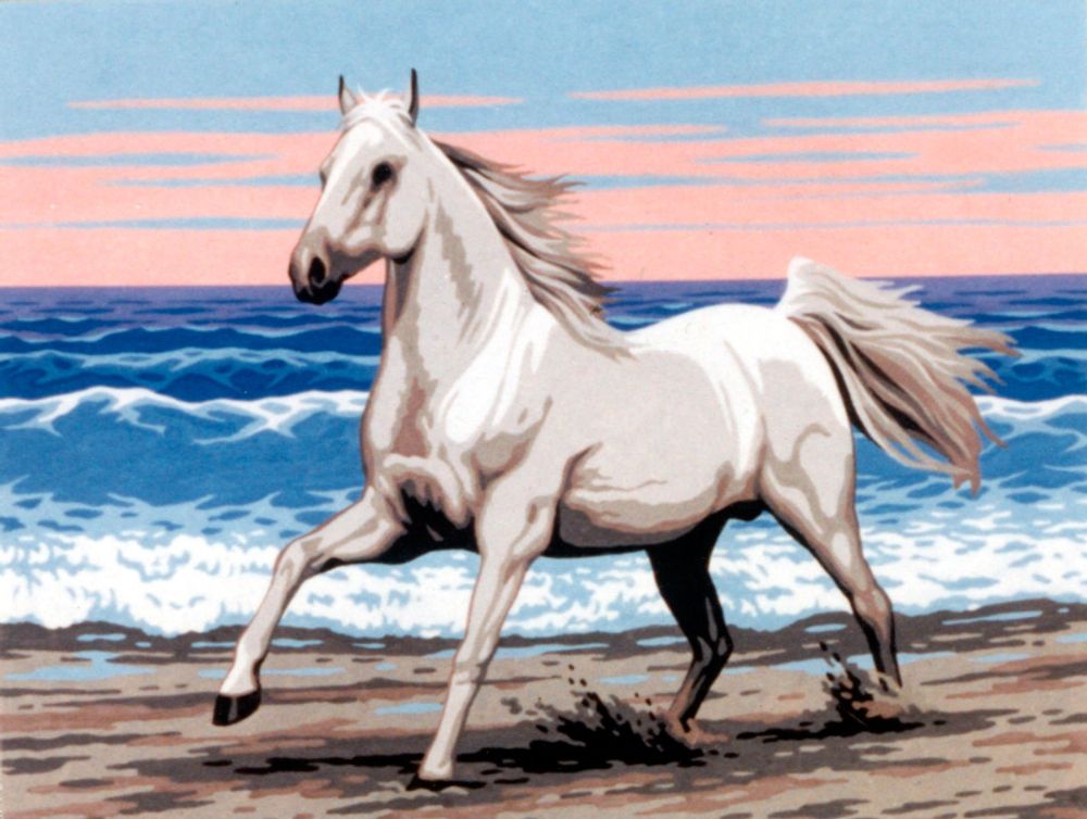 Рисунок для вышивания Soulos (канва жесткая), &quot;Белая лошадь на морском берегу&quot;, 40х50 см