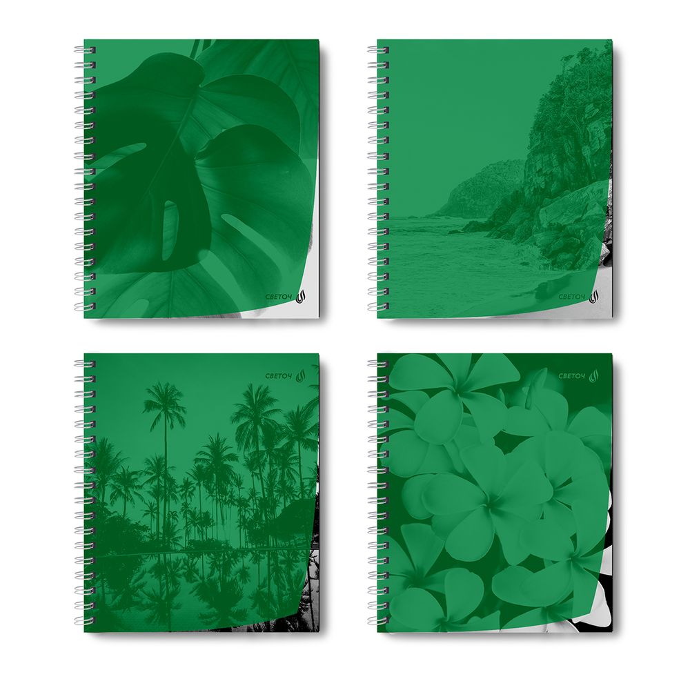 Тетрадь общая с пластик. обложкой, ч/б запечат. титульн.лист, 180 мкм, A5 48 л. на гребне 65 г/м², белизна 100% 4 шт клетка, 01548 Утренний пейзаж, зелёная, Светоч Т208