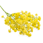 Цветы искусственные Гипсофилы, 63см, A Желтый