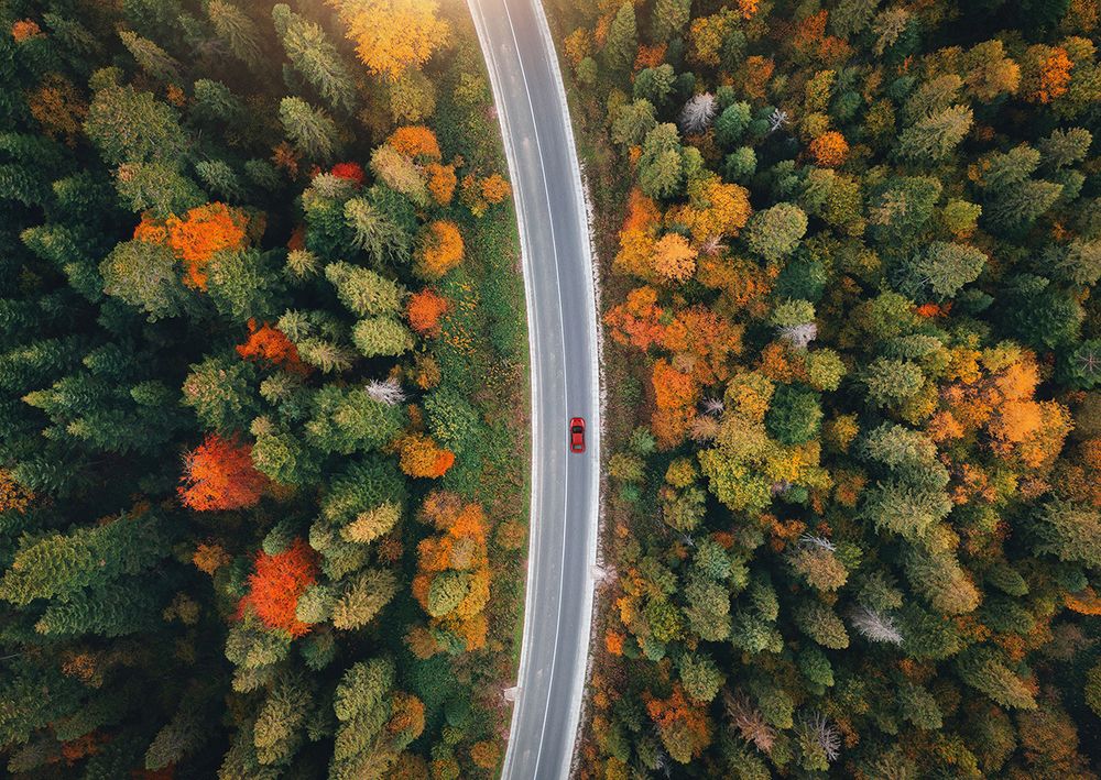 Пазл 1500 элементов, Сквозь сердце леса, PZL-1500/25, Фрея