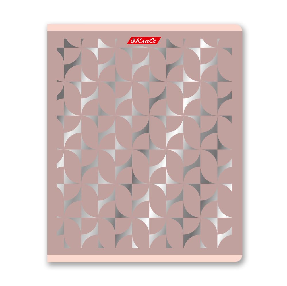 Тетрадь ученическая общая, матовая ламинация + тиснение серебряной фольгой, A5+ 48 л. на скобе 65 г/м², белизна 100%, 10 шт, клетка в термоусадочной пленке, 000743 Серебряная мечта, Светоч 48ТЕТк-007