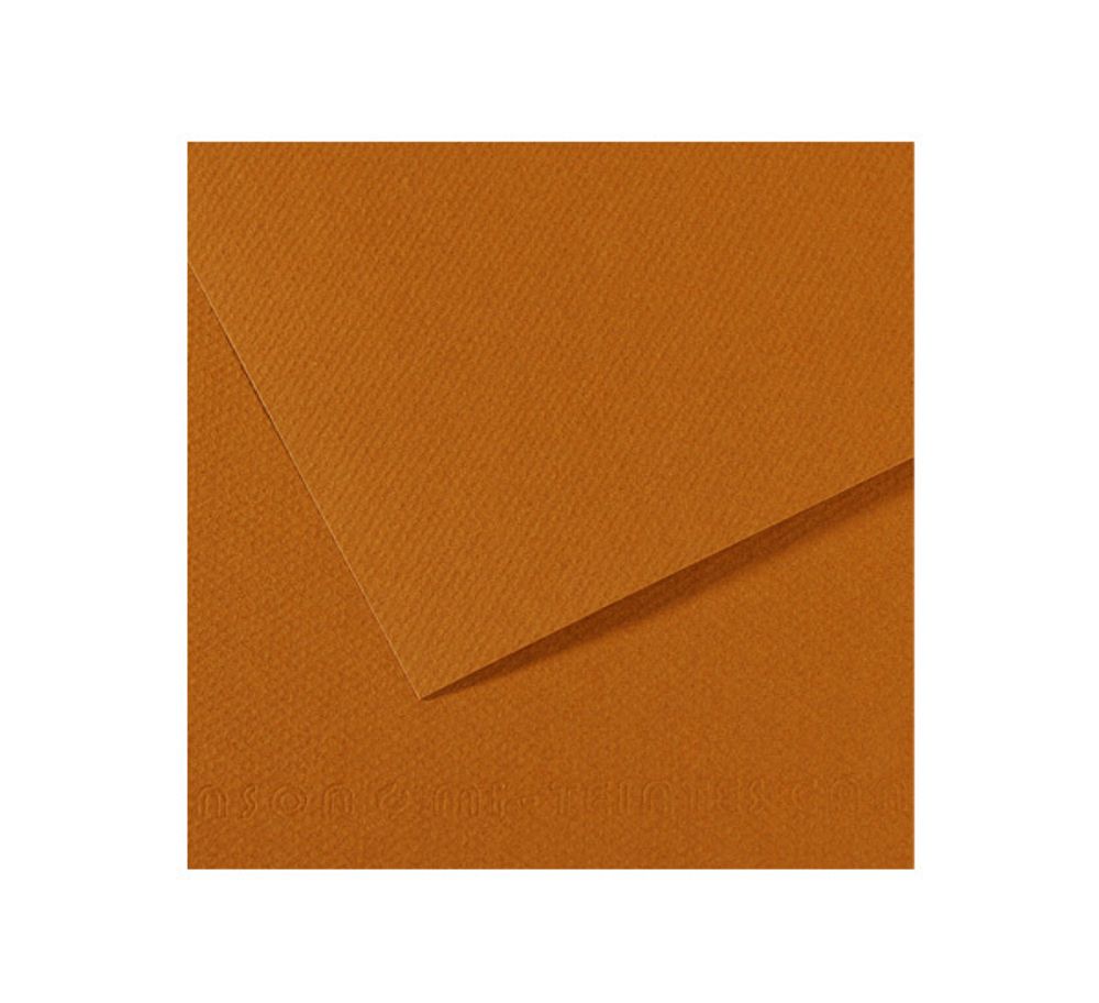 Бумага для пастели 160 г/м², 75х110 см, 25 листов, №502 светло-коричневый, Canson Mi-Teintes C200321187