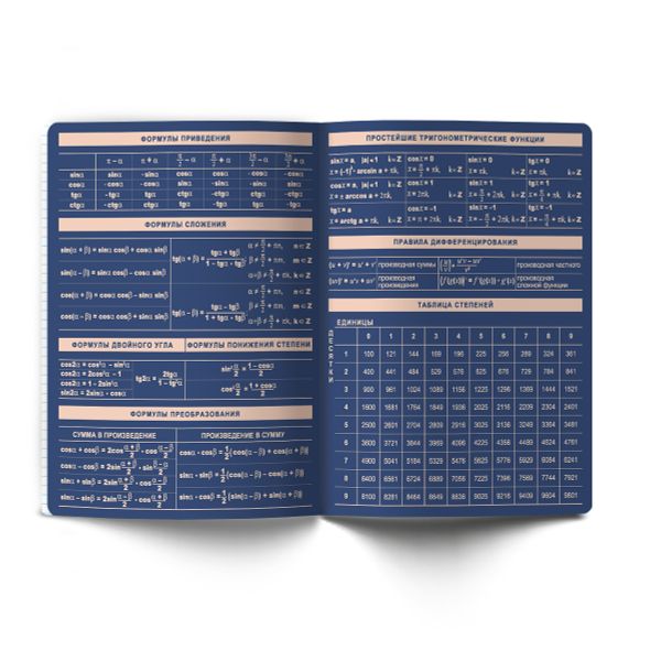 Тетрадь со справочным материалом Лёгким почерком, софт-тач ламинация, A5 48 л. на скобе 65 г/м², белизна 100% 10 шт, клетка, 01835 Лёгким почерком Алгебра, Светоч Т284