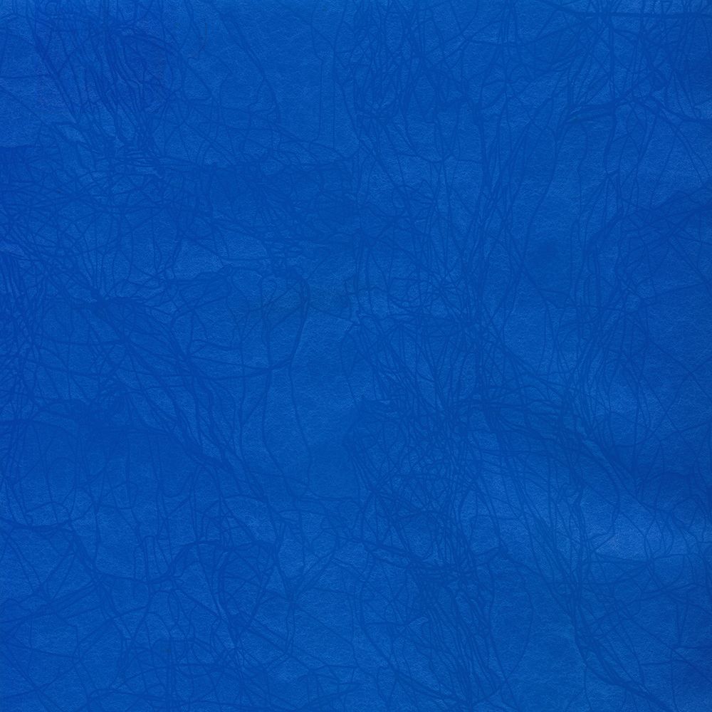 Папка-конверт на ZIP-молнии A4 180 мкм волокно, 10 шт, синий ЕС21123002, Expert Complete ЕС21123002