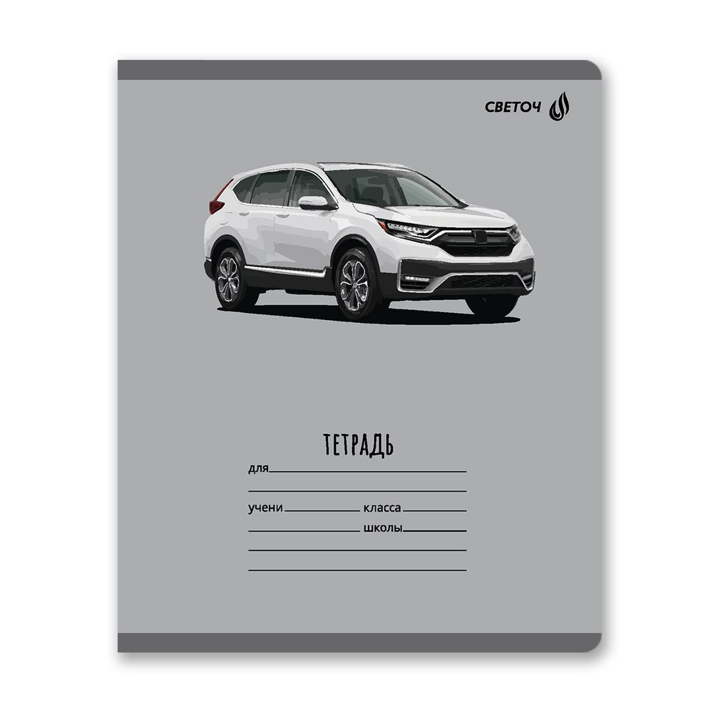 Тетрадь ученическая школьная, выборочный лак, A5 18 л. на скобе 65 г/м², белизна 100% 20 шт линия, 01454 Дрифт, Светоч Т185
