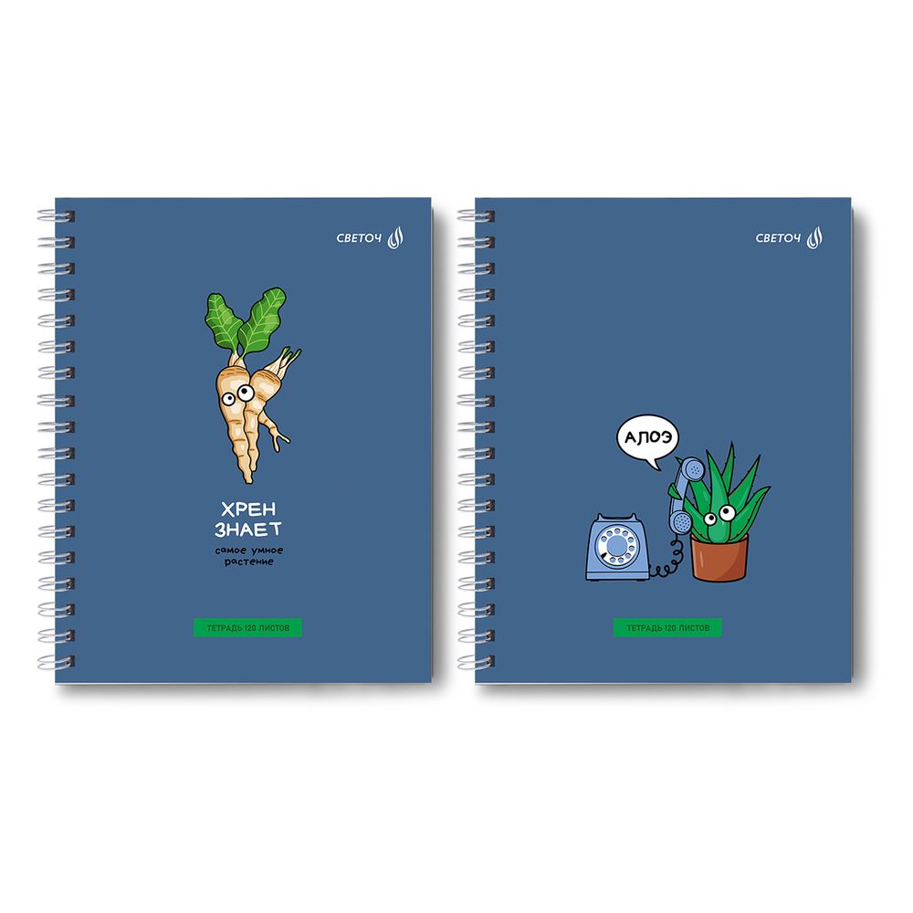Тетрадь общая с твердой обложкой, матовая ламинация + выборочный лак A5 120 л. на гребне 65 г/м², белизна 100% 4 шт клетка, 01554 Алоэ, Светоч Т210